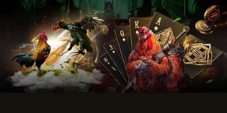 Hướng Dẫn Cách Chơi Đá Gà GA28 Tại WinVN Từ A Đến Z