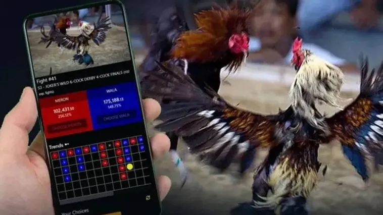 Khám Phá Thế Giới Đá Gà WinVN Đỉnh Cao Cùng Dàn Chiến Kê Bất Bại